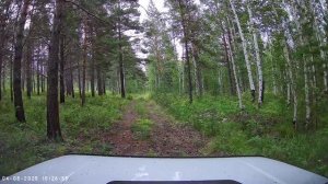 Экстрим на Ниве в тайге проходим по таёжным дорогам и лесным тропам