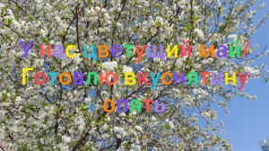 У нас цветущий май/ Готовлю вкуснятину опять
