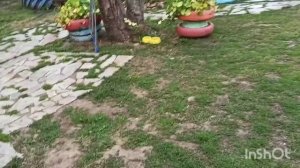 Деревенские будни, купили ондулин на крышу.