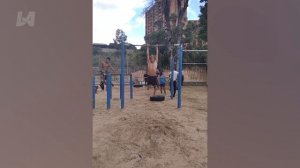 Абсолютный вызов «Попробуй не засмеяться»! 😂 Самые смешные виральные фейлы!