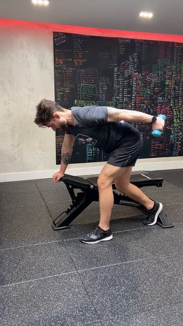 DB SA Tricep Kickbacks with Support bench | Разгибание на трицепс 1 рукой в упоре на скамью