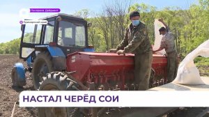 Приморские аграрии начали сеять сою