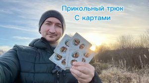 Как научиться делать карточный дисплей