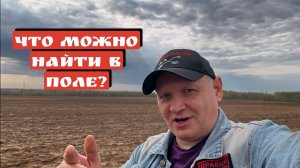 ЧТО МОЖНО НАЙТИ В ПОЛЕ?