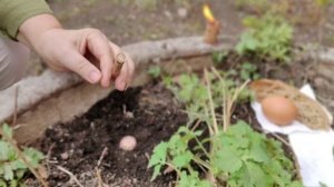 Обряд похвалы Матери Земли от ведающей
