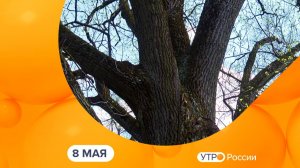 Утро России. Калуга (08.05.2026)