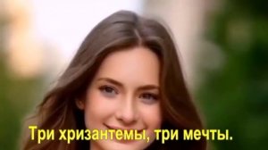 Три хризантемы, три мечты.
