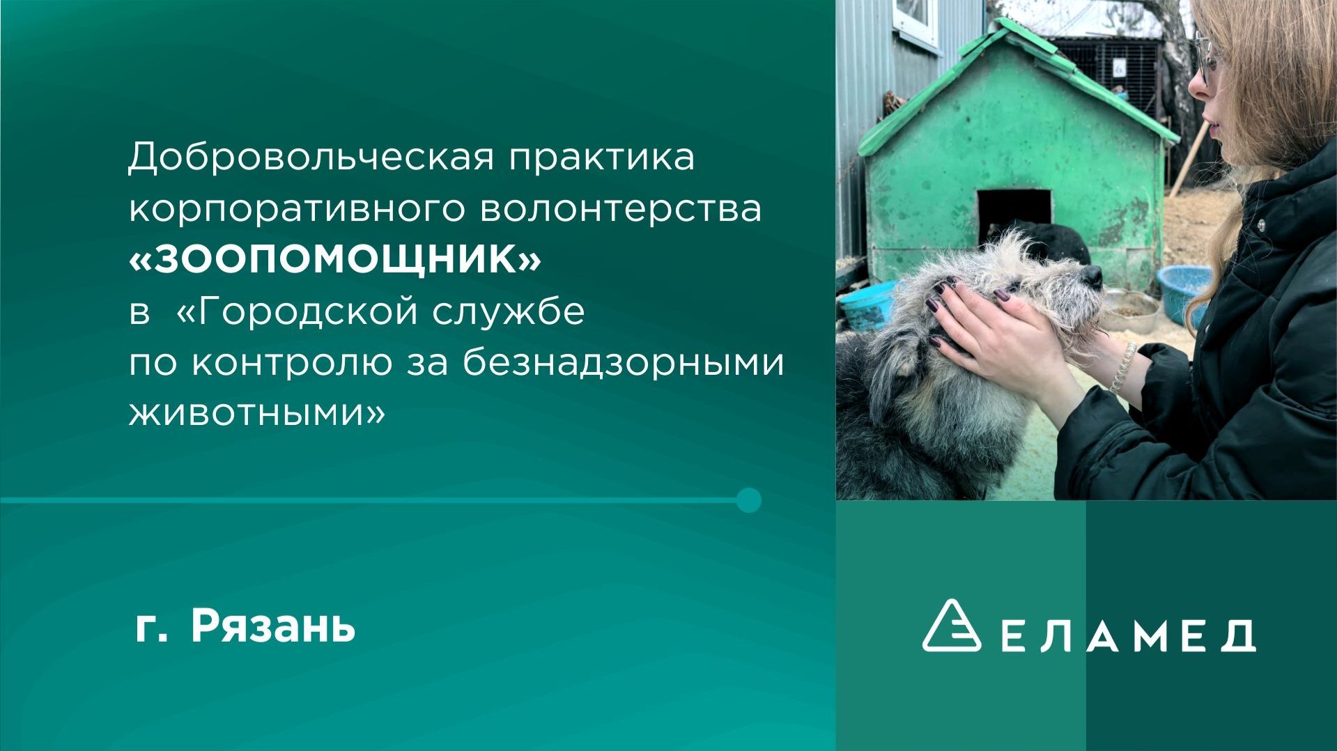 Добровольческая практика корпоративного волонтерства «ЗООПОМОЩНИК»