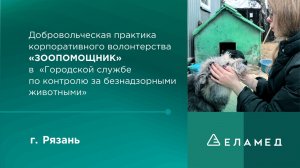 Добровольческая практика корпоративного волонтерства «ЗООПОМОЩНИК»