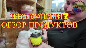 Обзор продуктов. Открываем пакеты вместе