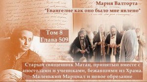 Глава 509. Старый священник Матан, принятый вместе с апостолами и учениками, бежавшими из Храма...