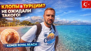 НАС ПОКУСАЛИ КЛОПЫ в Турции ❗Бюджетный отель Kemer Royal Beach 3* после Rixos. Такого мы не ожидали