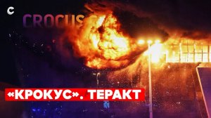 Теракт в «Крокусе». Как спасались люди и как ловили преступников - СПЕКТР (перезалив)