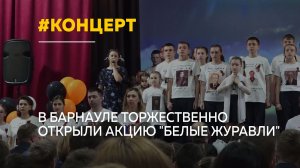 В Барнауле стартовала акция «Белые журавли» в память о героях войны