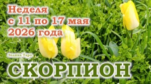 СКОРПИОН | ТАРО прогноз на неделю с 11 по 17 мая 2026 года