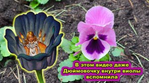 Большой влог/Покупки в Sportmaster/Любимый белорусский бренд обуви, новые молочные ботильоны