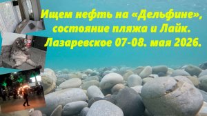 Изучаю море на пляже Дельфин, состояние пляжа, кот Лайк и дом «Владимир», Лазаревское 08.05.26.