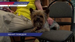 Программу «Звенит Победой май цветущий» для женщин «Активного долголетия» провели в «Швейцарии»