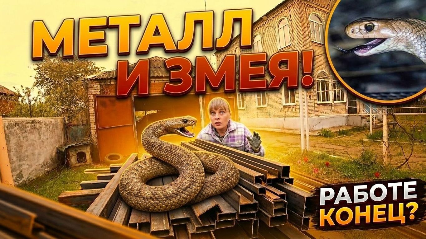 ЗАКУПИЛИ МЕТАЛЛ - НАЧАЛИ СТРОИТЬ ЗАБОР. РАБОТЕ ПОМЕШАЛА ЗМЕЯ. Из города в деревню — 917 серия