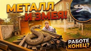 ЗАКУПИЛИ МЕТАЛЛ - НАЧАЛИ СТРОИТЬ ЗАБОР. РАБОТЕ ПОМЕШАЛА ЗМЕЯ. Из города в деревню — 917 серия