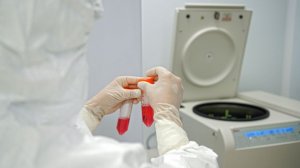 Российские ученые готовы создать вакцину от хантавируса за полтора года