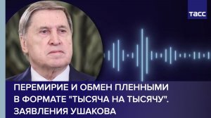 Перемирие и обмен пленными в формате «тысяча на тысячу». Заявления Ушакова