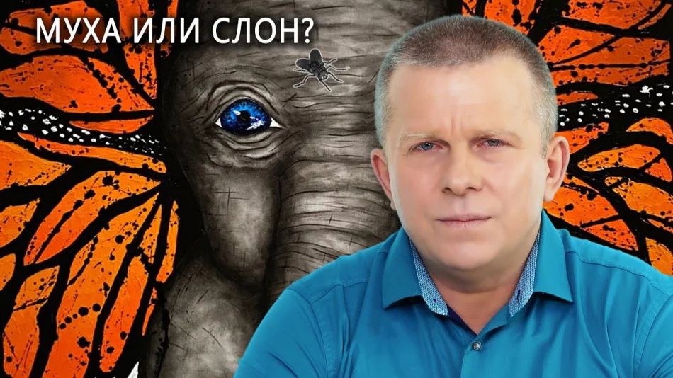Муха или слон? 27.07.2023 (№189) [Игорь Михайлович Данилов]