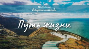 ПУТЬ ЖИЗНИ | Вечерние размышления