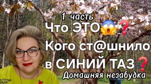 1 часть. Что ЭТО😱❓️Кого ст@шнило в СИНИЙ ТАЗ❓️