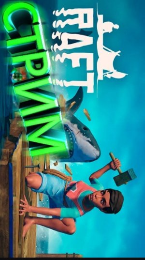 играю в raft (MinerMax)