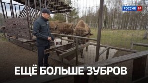 Промо | Заботиться и ухаживать: кто и как меняет заповедные территории