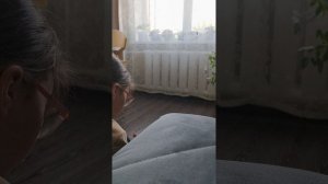 восьмая заключительная часть как мы с Флорой делаем зоопарк кошек