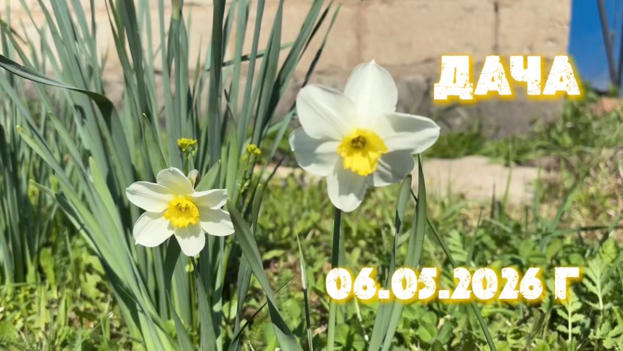 ДАЧА 06.05.2026 Г