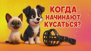 Котенок По имени ГАВ Когда начинают кусаться  Мультик для детей