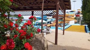 Аттракционы В аквапарке