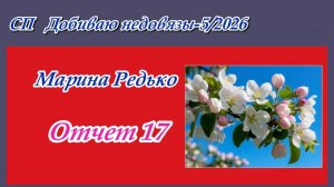 СП «Добиваю недовязы-5/2026» / Отчет 17
