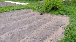 Вести с полей🍀Начало огородного сезона.1.