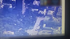 Верховная Рада Украины в объективе Герберы/Герберочки