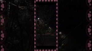 Голос майской ночи