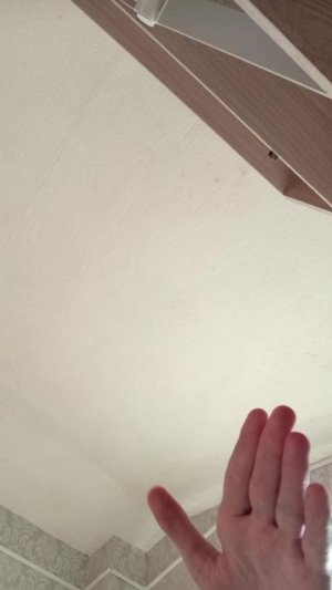 общение