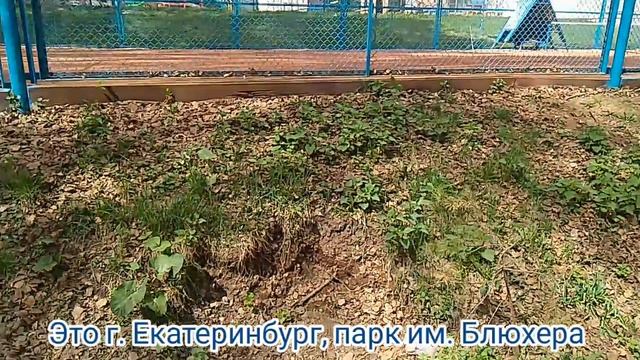 9 мая в Екатеринбурге. Подробности в описании
