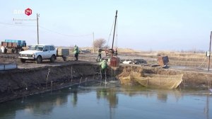 Фермеры, закаленные в бою