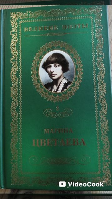 #МаринаЦветаева #декабрьиянварь #стихи #читаем #MarinaTsvetaeva #DecemberandJanuary #poems #reading