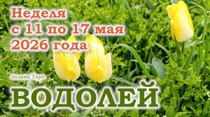 ВОДОЛЕЙ | ТАРО прогноз на неделю с 11 по 17 мая 2026 года