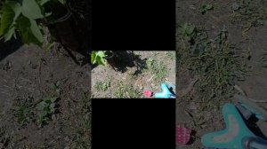 МЫ НАШЛИ МНЕ ЕЩЕ 2 БАЗЫ