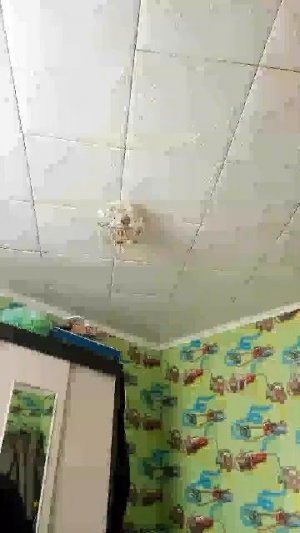 стрим щавель фонк
