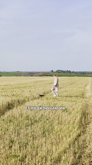 Гендер пати веерный салют смотреть онлайн