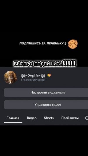 БЫСТРО!!!