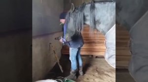 Отлично справляется с контролем всего
