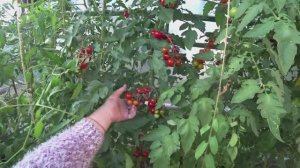 Влог от 20.09.2022